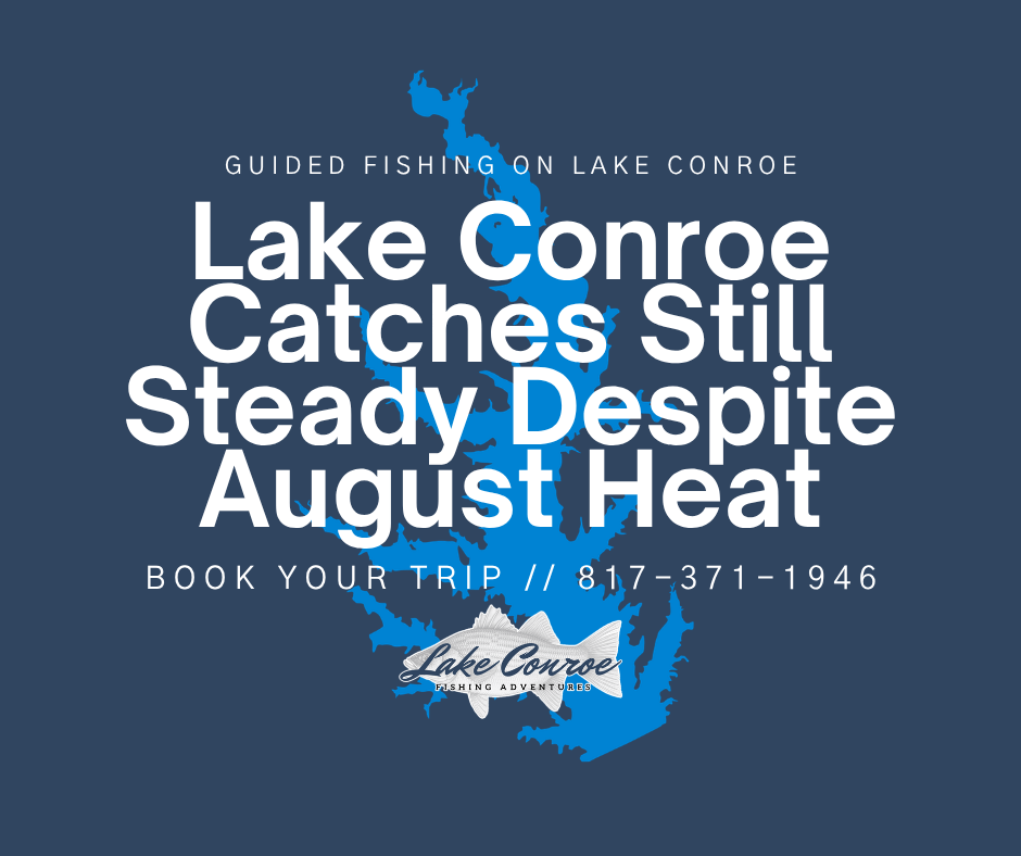 Lake Conroe catches still steady despite August heat